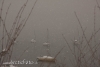 20141229_4632.jpg