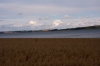 Wie ein kleiner See liegt die Knebel Vig zwischen den Feldern eingebettet.