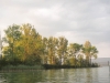 20140620_2722.jpg