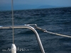 20140903_3911.jpg