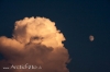 20140905_3618.jpg