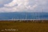 20140909_3701.jpg