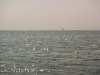 20140911_4056.jpg